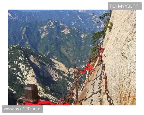 方便与泰山的频道之争究竟谁更受欢迎你怎么看待这个话题