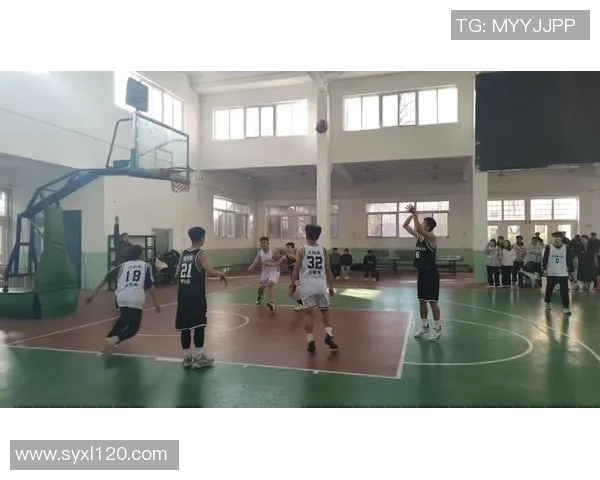 范子铭的篮球之路：从青涩少年到职业赛场的奋斗历程与成长故事