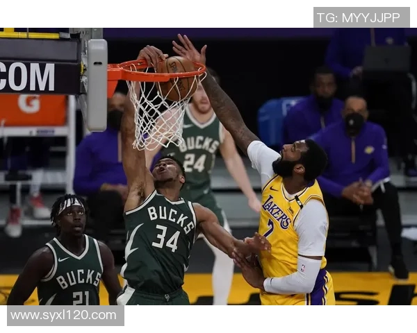 雄鹿与湖人激战360直播全程回顾精彩瞬间与赛后分析