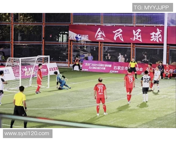 石家庄主场足球比赛直播精彩回顾与赛后分析尽在这里