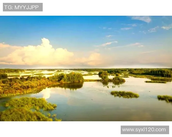 袁堂文：探索历史与文化交融的智慧之旅